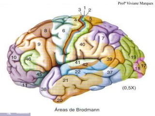 Profª Viviane Marques
 