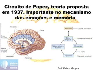 Circuito de Papez, teoria proposta
em 1937. Importante no mecanismo
das emoções e memória .
Profª Viviane Marques
 
