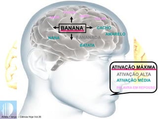 BANANA
ATIVAÇÃO MÁXIMA
ATIVAÇÃO ALTA
ATIVAÇÃO MÉDIA
PALAVRA EM REPOUSO
Aniela França – Ciência Hoje Vol.36
BANANADA
BATATA
NANA
CACHO
AMARELO
FIGURA
SAPO
AMOR COLAR
 