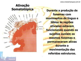 Durante a produção de
fonemas com
movimentos de língua e
lábios as regiões
ativadas estavam
funcionando quando os
sujeitos ouviam os
mesmos fonemas e
permaneceram ativas
durante a
movimentação das
referidas estruturas.
Ativação
Somatotópica
www.vivianemarques.com.br
 