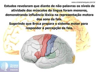 Estudos revelaram que diante de não-palavras os níveis de
atividade dos músculos da língua foram menores,
demonstrando influência léxica na representação motora
dos sons da fala.
Sugerindo que Broca prepara o sistema motor para
responder à percepção da fala.
www.vivianemarques.com.br
 