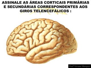 ASSINALE AS ÁREAS CORTICAIS PRIMÁRIAS
E SECUNDÁRIAS CORRESPONDENTES AOS
GIROS TELENCEFÁLICOS :
Profª Viviane Marques
 