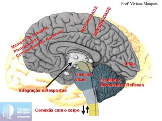 Profª Viviane Marques
 