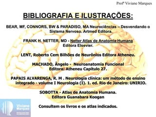 BIBLIOGRAFIA E ILUSTRAÇÕES:
BEAR, MF, CONNORS, BW & PARADISO, MA Neurociências – Desvendando o
Sistema Nervoso. Artmed Editora.
FRANK H. NETTER, MD - Netter Atlas de Anatomia Humana
Editora Elsevier.
LENT, Roberto Cem Bilhões de Neurônios Editora Atheneu.
MACHADO, Ângelo - Neuroanatomia Funcional
Editora: Atheneu Capítulo 27.
PAPAIS ALVARENGA, R. M . Neurologia clínica: um método de ensino
integrado - volume I Neurologia (I). 1. ed. Rio de Janeiro: UNIRIO.
SOBOTTA - Atlas de Anatomia Humana.
Editora Guanabara Koogan
Consultem os livros e os atlas indicados.
Profª Viviane Marques
 
