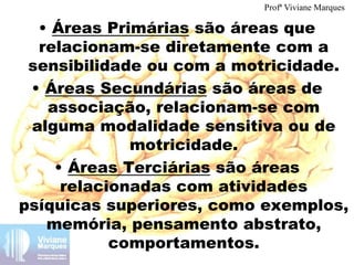 • Áreas Primárias são áreas que
relacionam-se diretamente com a
sensibilidade ou com a motricidade.
• Áreas Secundárias são áreas de
associação, relacionam-se com
alguma modalidade sensitiva ou de
motricidade.
• Áreas Terciárias são áreas
relacionadas com atividades
psíquicas superiores, como exemplos,
memória, pensamento abstrato,
comportamentos.
Profª Viviane Marques
 
