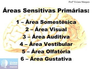 Áreas Sensitivas Primárias:
1 – Área Somestésica
2 – Área Visual
3 – Área Auditiva
4 – Área Vestibular
5 – Área Olfatória
6 – Área Gustativa
Profª Viviane Marques
 