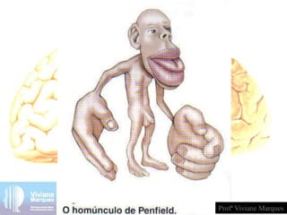 Profª Viviane Marques
 