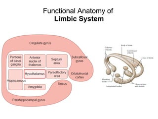 Functional Anatomy of  Limbic System 