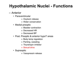 Hypothalamic Nuclei - Functions Anterior Paraventricular Oxytocin release Water conservation Medial preoptic Bladder contraction Decreased HR Decreased BP Post. Preoptic & anterior hypoT areas Body temp regulation Panting, sweating Thyrotropin inhibitor Sexual drive Supraoptic Vasopressin release 