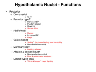 Hypothalamic Nuclei - Functions Posterior  Dorsomedial GI ++ Posterior hypoT Increased BP Pupillary dilation Shivering Sexual drive Perifornical Hunger Increased BP Rage   Ventromedial Satiety*, decreased eating, and tranquility  Neuroendorine control Mamillary body Feeding reflexes Arcuate & periventricular Neuroendocrine control Fear & punishment reactions Lateral hypoT area Thirst & hunger*, rage, fighting 