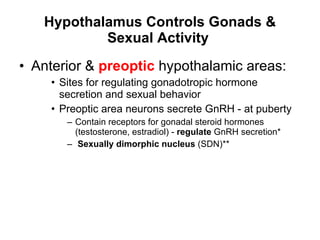 Hypothalamus Controls Gonads & Sexual Activity   Anterior &  preoptic  hypothalamic areas: Sites for regulating gonadotropic hormone secretion and sexual behavior  Preoptic area neurons secrete GnRH - at puberty Contain receptors for gonadal steroid hormones (testosterone, estradiol) -  regulate  GnRH secretion* Sexually dimorphic nucleus  (SDN)**  