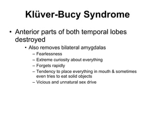 Klüver-Bucy Syndrome Anterior parts of both temporal lobes destroyed Also removes bilateral amygdalas  Fearlessness Extreme curiosity about everything Forgets rapidly Tendency to place everything in mouth & sometimes even tries to eat solid objects Vicious and unnatural sex drive 