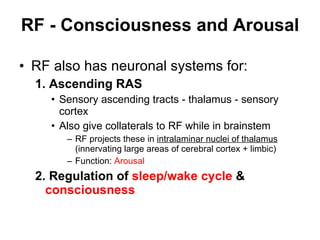 RF - Consciousness and Arousal   RF also has neuronal systems for: 1. Ascending RAS Sensory ascending tracts - thalamus - sensory cortex Also give collaterals to RF while in brainstem RF projects these in  intralaminar nuclei of thalamus  (innervating large areas of cerebral cortex + limbic) Function:  Arousal 2. Regulation of  sleep/wake cycle  &  consciousness 
