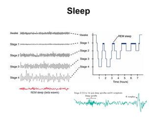 Sleep 