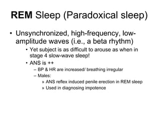 REM  Sleep (Paradoxical sleep)  Unsynchronized, high-frequency, low-amplitude waves (i.e., a beta rhythm) Yet subject is as difficult to arouse as when in stage 4 slow-wave sleep! ANS is ++  BP & HR are increased/ breathing irregular  Males:  ANS reflex induced penile erection in REM sleep  Used in diagnosing impotence 