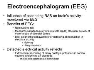 Electroencephalogram  (EEG) Influence of ascending RAS on brain's activity - monitored via EEG Benefits of EEG: Noninvasive tool  Measures simultaneously (via multiple leads) electrical activity of major areas of cerebral cortex Best diagnostic tool available for detecting abnormalities in electrical activity  Epilepsy  Sleep disorders  Detected electrical activity reflects Extracellular recording of many postsyn. potentials in cortical neurons underlying an electrode The electric potentials are summated!  