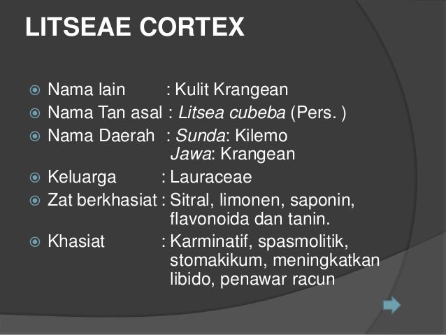 Cortex pptx