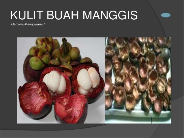 Best rated garcinia cambogia brand image 5