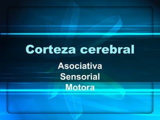 Corteza cerebral Asociativa Sensorial Motora 