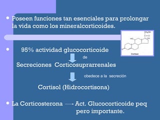 Poseen funciones tan esenciales para prolongar la vida como los mineralcorticoides. 95% actividad glucocorticoide    Secreciones  Corticosuprarrenales  Cortisol (Hidrocortisona) La Corticosterona  Act. Glucocorticoide peq    pero importante. obedece a la  secreción de 