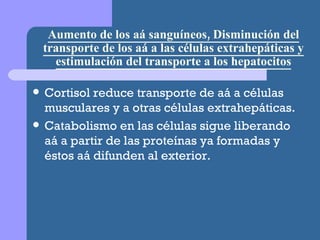 Aumento de los aá sanguíneos, Disminución del transporte de los aá a las células extrahepáticas y estimulación del transporte a los hepatocitos Cortisol reduce transporte de aá a células musculares y a otras células extrahepáticas. Catabolismo en las células sigue liberando aá a partir de las proteínas ya formadas y éstos aá difunden al exterior. 