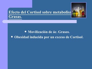 Efecto del Cortisol sobre metabolismo de las Grasas. Movilización de ác. Grasos. Obesidad inducida por un exceso de Cortisol. 