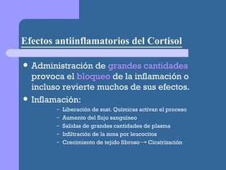 Efectos antiinflamatorios del Cortisol Administración de  grandes cantidades  provoca el  bloqueo  de la inflamación o incluso revierte muchos de sus efectos. Inflamación: Liberación de sust. Químicas activan el proceso Aumento del flujo sanguíneo Salidas de grandes cantidades de plasma Infiltración de la zona por leucocitos Crecimiento de tejido fibroso  Cicatrización 