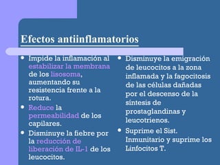 Efectos antiinflamatorios Impide la inflamación al  estabilizar la membrana  de los  lisosoma , aumentando su resistencia frente a la rotura. Reduce  la  permeabilidad  de los capilares. Disminuye la fiebre por la  reducción de liberación de IL-1  de los leucocitos. Disminuye la emigración de leucocitos a la zona inflamada y la fagocitosis de las células dañadas por el descenso de la síntesis de prostaglandinas y leucotrienos.  Suprime el Sist. Inmunitario y suprime los Linfocitos T. 