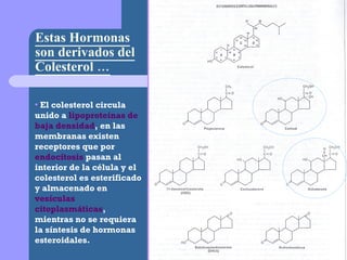 Estas Hormonas son derivados del Colesterol … El colesterol circula unido a  lipoproteínas de baja densidad , en las membranas existen receptores que por  endocitosis  pasan al interior de la célula y el colesterol es esterificado y almacenado en  vesículas citoplasmáticas , mientras no se requiera la síntesis de hormonas esteroidales. 