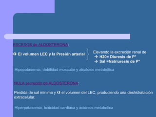 EXCESOS de ALDOSTERONA :    El volumen LEC y la Presión arterial   Elevando la excreción renal de    H20= Diuresis de P °    Sal =Natriuresis de P ° Hipopotasemia, debilidad muscular y alcalosis metabólica NULA secreción de ALDOSTERONA : Perdida de sal mínima y    el volumen del LEC, produciendo una deshidratación extracelular. Hiperpotasemia, toxicidad cardiaca y acidosis metabolica 