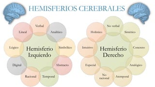 HEMISFERIOS CEREBRALES 
Verbal 
Analítico 
Lineal 
Hemisferio 
Izquierdo 
Simbólico 
Abstracto 
Racional Temporal 
Lógico 
Digital 
No verbal 
Sintético 
Holístico 
Hemisferio 
Derecho 
Concreto 
Analógico 
Atemporal 
No 
racional 
Intuitivo 
Especial 
 