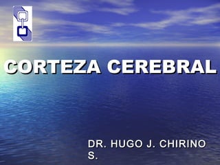 CORTEZA CEREBRALCORTEZA CEREBRAL
DR. HUGO J. CHIRINODR. HUGO J. CHIRINO
S.S.
 