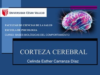 CORTEZA CEREBRAL
Celinda Esther Carranza Díaz
FACULTAD DE CIENCIAS DE LA SALUD
ESCUELA DE PSICOLOGIA
CURSO: BASES BIOLÓGICAS DEL COMPORTAMIENTO
 