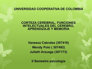 UNIVERSIDAD COOPERATIVA DE COLOMBIA



   CORTEZA CEREBRAL, FUNCIONES
    INTELECTUALES DEL CEREBRO,
       APRENDIZAJE Y MEMORIA



       Vanessa Cabrales (307416)
         Wendy Polo ( 307492)
        Julieth Arzuaga (307173)

         II Semestre psicología
 