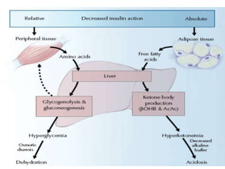Fisiopatología del estado de coma 