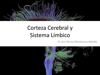 Corteza Cerebral y
Sistema Límbico
Dr. Aris Michel Montesinos Rebollo

 
