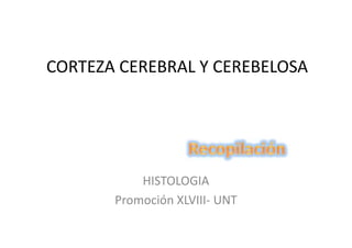 CORTEZA CEREBRAL Y CEREBELOSA




           HISTOLOGIA
       Promoción XLVIII- UNT
 