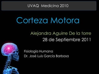 UVAQ  Medicina 2010 Corteza Motora Alejandra Aguirre De la torre 28 de Septiembre 2011 Fisiología Humana Dr. José Luis García Barbosa 