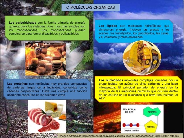cadenas montañosas mas largas cortez am 233 zquita karina itzel copia cadenas montañosas mas largas cortez am 233 zquita karina itzel copia