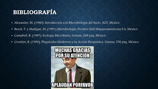 BIBLIOGRAFÍA
• Alexander, M. (1980). Introducción a la Microbiología del Suelo. AGT, México.
• Brock, T. y Madigan, M. (1991) Microbiología. Prentice Hall Hispanoamericana S.A. México.
• Campbell, R. (1987). Ecología Microbiana. Limusa, 268 pag. México.
• Cremlyn, R. (1990). Plaguicidas Modernos y su Acción Bioquímica. Limusa, 356 pag. México.
 
