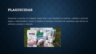 PLAGUICIDAS
Sustancias o mezclas en cualquier estado físico cuya finalidad es controlar, combatir y prevenir
plagas o enfermedades y tienen el objetivo de proteger al hombre de organismos que afectan su
ambiente, animales y alimento.
 