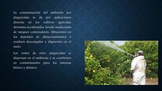La contaminación del ambiente por
plaguicidas se da por aplicaciones
directas en los cultivos agrícolas,
derrames accidentales, lavado inadecuado
de tanques contenedores, filtraciones en
los depósitos de almacenamientos y
residuos descargados y dispuestos en el
suelo.
Los restos de estos plaguicidas se
dispersan en el ambiente y se convierten
en contaminantes para los sistemas
biótico y abiótico.
 