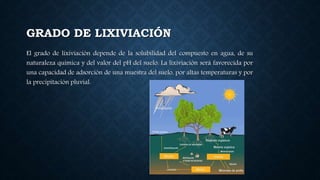 GRADO DE LIXIVIACIÓN
El grado de lixiviación depende de la solubilidad del compuesto en agua, de su
naturaleza química y del valor del pH del suelo. La lixiviación será favorecida por
una capacidad de adsorción de una muestra del suelo, por altas temperaturas y por
la precipitación pluvial.
 
