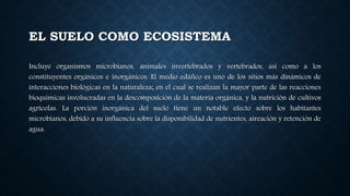 EL SUELO COMO ECOSISTEMA
Incluye organismos microbianos, animales invertebrados y vertebrados, así como a los
constituyentes orgánicos e inorgánicos. El medio edáfico es uno de los sitios más dinámicos de
interacciones biológicas en la naturaleza; en el cual se realizan la mayor parte de las reacciones
bioquímicas involucradas en la descomposición de la materia orgánica, y la nutrición de cultivos
agrícolas. La porción inorgánica del suelo tiene un notable efecto sobre los habitantes
microbianos, debido a su influencia sobre la disponibilidad de nutrientes, aireación y retención de
agua.
 