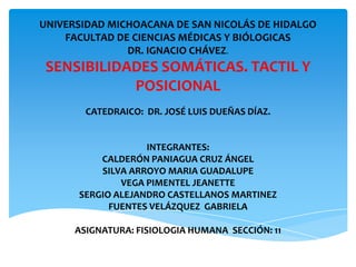 UNIVERSIDAD MICHOACANA DE SAN NICOLÁS DE HIDALGO
    FACULTAD DE CIENCIAS MÉDICAS Y BIÓLOGICAS
               DR. IGNACIO CHÁVEZ.
 SENSIBILIDADES SOMÁTICAS. TACTIL Y
            POSICIONAL
        CATEDRAICO: DR. JOSÉ LUIS DUEÑAS DÍAZ.


                   INTEGRANTES:
          CALDERÓN PANIAGUA CRUZ ÁNGEL
          SILVA ARROYO MARIA GUADALUPE
              VEGA PIMENTEL JEANETTE
      SERGIO ALEJANDRO CASTELLANOS MARTINEZ
            FUENTES VELÁZQUEZ GABRIELA

      ASIGNATURA: FISIOLOGIA HUMANA SECCIÓN: 11
 