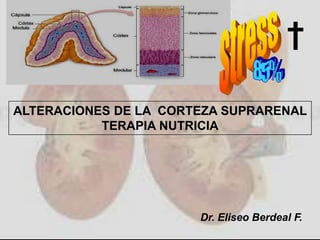 †

ALTERACIONES DE LA CORTEZA SUPRARENAL
           TERAPIA NUTRICIA




                       Dr. Eliseo Berdeal F.
 