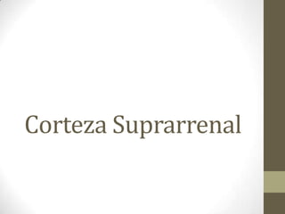 Corteza Suprarrenal
 