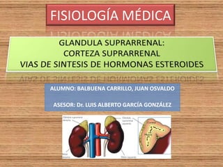 FISIOLOGÍA MÉDICA



ALUMNO: BALBUENA CARRILLO, JUAN OSVALDO

 ASESOR: Dr. LUIS ALBERTO GARCÍA GONZÁLEZ
 