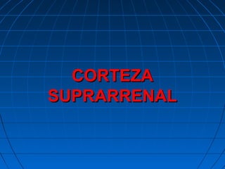 CORTEZACORTEZA
SUPRARRENALSUPRARRENAL
 