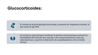 corteza suprarrenal clase anatomias.pptx